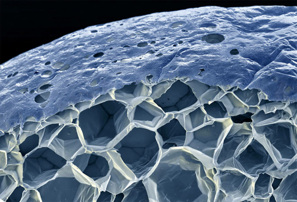 Lightweight construction and automotive EPP Forum Bayreuth